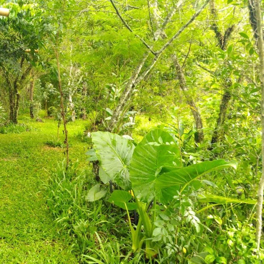 Sitio Sapiranga Διαμέρισμα Εξωτερικό φωτογραφία